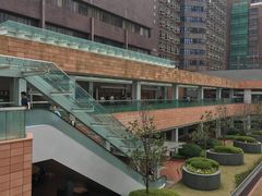 -香港大学