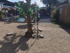 -DGE季风钓虾营地·团建·聚会