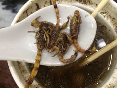 灵芝蝎子炖水鸭-信行丰炖品皇店(光孝路店)