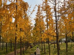 -汉长安城未央宫国家考古遗址公园