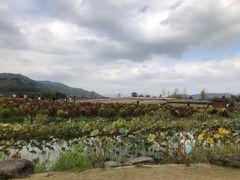 -径山花海