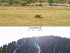-新疆那拉提国家旅游度假区