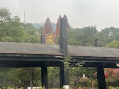 -三江森林温泉度假区