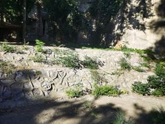 -北京动物园