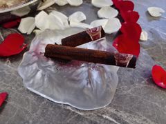 -Hi City·城市之巅