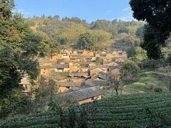 -杨家堂村