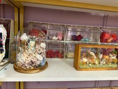 -烤肉宛饭庄(北新桥店)