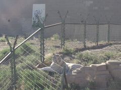 -新疆天山野生动物园