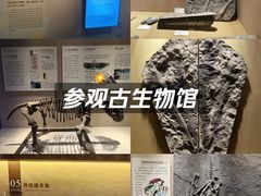 -广东省博物馆