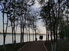 -丁香湖公园