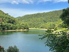 -桃花岭景区