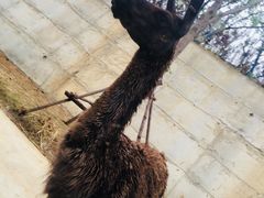 -南京金牛湖风景区