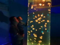 -北戴河圣蓝海洋公园