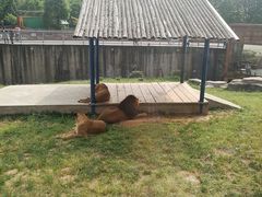 -无锡动物园·太湖欢乐园