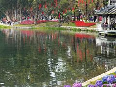 -荔湾湖公园