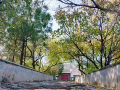 -阳台山自然风景区