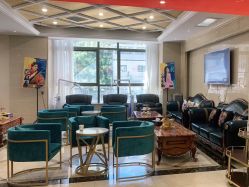 -碧莲盛·不剃发植发