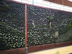 -黄龙溪欢乐田园