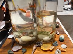 -太湖饭店玉兰厅(自助餐厅)