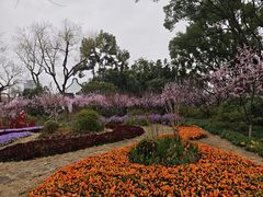 -上海醉白池公园