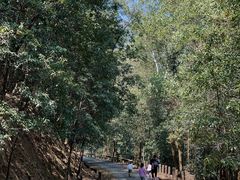 -秦岭天竺山景区