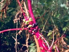 -南京市无想山景区