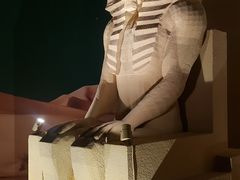 -遇见博物馆(遇见海洋沉浸式奇幻光影展)