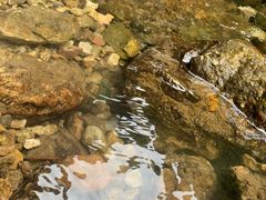 -西岭雪山大飞水景区