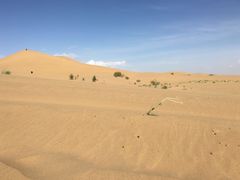 -亿利库布其七星湖沙漠生态旅游区