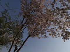 -棋盘山风景区