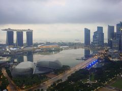 -新加坡瑞士史丹福酒店