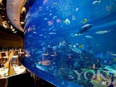 -迪拜帆船酒店海底餐厅