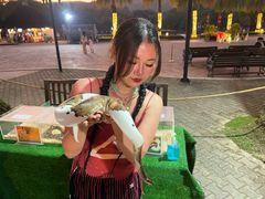 -清迈夜间动物园