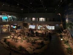 -自贡恐龙博物馆