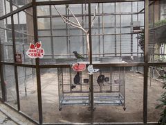 -南宫五洲植物乐园