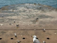 -星海广场