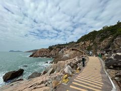 -广东惠东海龟国家级自然保护区