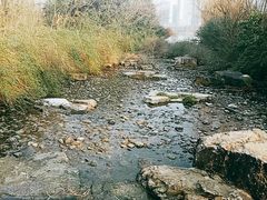 -天鹅湖体育公园