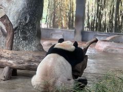 -海南热带野生动植物园