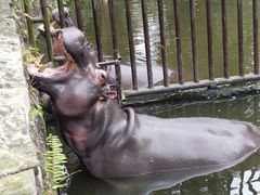 -海南热带野生动植物园