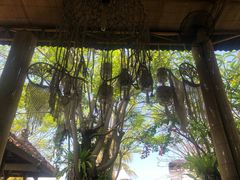 -Warung Nia Balinese Food & Pork Ribs