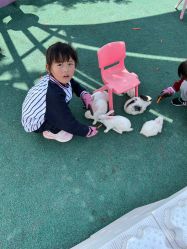 点击看大图 -季高兔窝窝亲子园(上海薰衣草公园店)