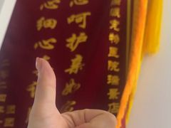 -瑞派康怡24h宠物医院·犬猫医疗中心·微创绝育(瑞景分院)