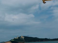 -海驴岛(荣成市)