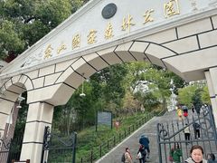 -上海佘山国家森林公园西佘山园