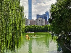 -团结湖公园