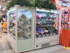 -坂田天虹