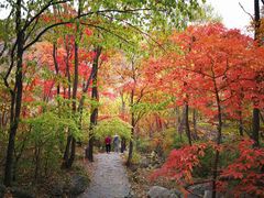 -三块石国家森林公园