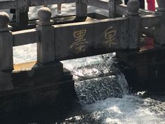 -百脉泉景区