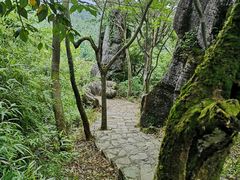 -山王坪喀斯特国家生态公园